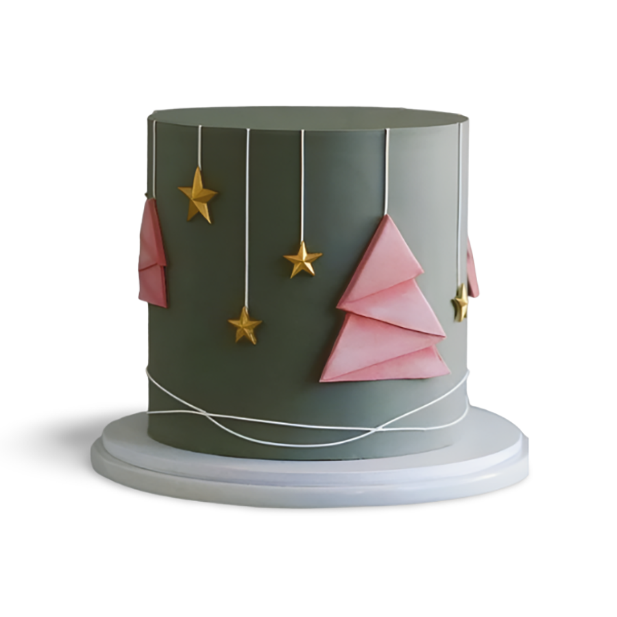 Star Of The Day